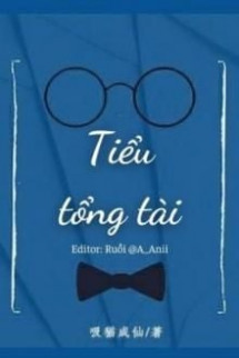 Tiểu Tổng Tài